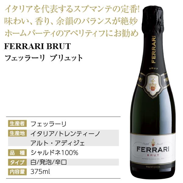 スパークリングワイン イタリア ハーフ フェッラーリ ブリュット 正規