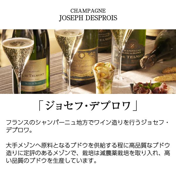 シャンパン フランス シャンパーニュ ジョセフ デプロワ 750ml