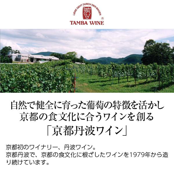 スパークリングワイン 国産 京都丹波ワイン てぐみ peu 330ml 日本ワイン｜e-felicity｜02