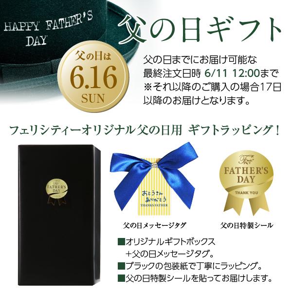 父の日ギフト プレゼント 送料無料 シャンパン モエ エ シャンドン ブリュット＆ロゼ 2本セット 正規 オリジナルギフト箱付 750ml×2｜e-felicity｜02