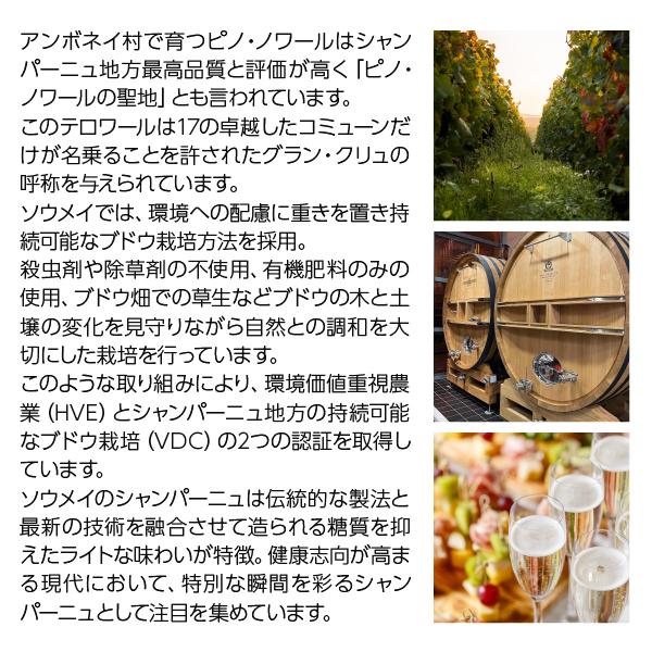 シャンパン フランス シャンパーニュ レオポルディーヌ ソウメイ ロゼ 正規 箱なし 750mlの画像