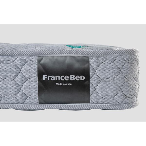 フランスベッド（FRANCEBED） TW-010α セミダブル マットレス ツイン 