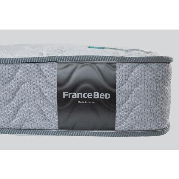 フランスベッド（FRANCEBED） TW-100α ダブル マットレス ツイン