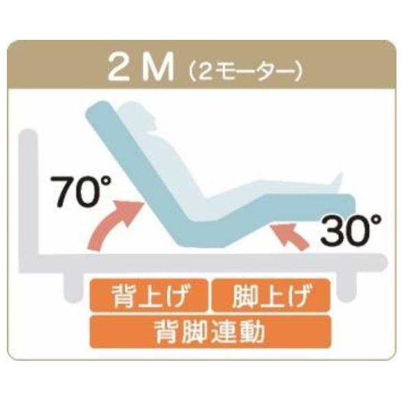 グランツ 【グランムーヴ】GM-01 【2モーター】 【セミダブル】 【キャビネット】 棚付き 照明 コンセント 電動ベッド ホワイト グレージュ Gran Move