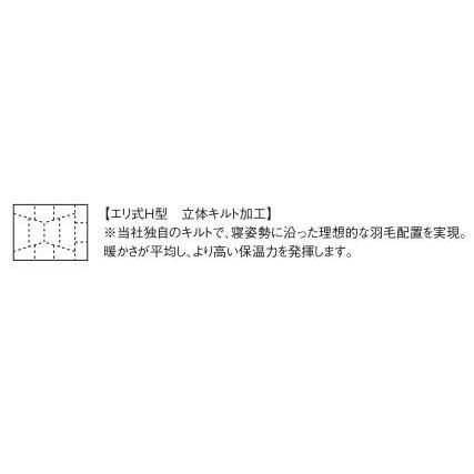 日本ベッド プレミアムフォーター95 羽毛布団 羽毛掛ふとん 温かい コンフォーター 掛け布団 ダブル ダウンキルト 1枚掛け ダウンコンフォーター | 日本ベッド | 02