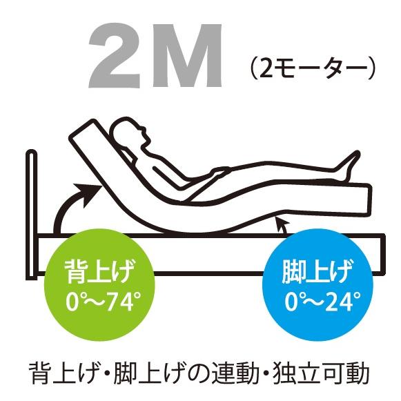 フランスベッド（FRANCEBED） レステックス 101F【シングル】【2