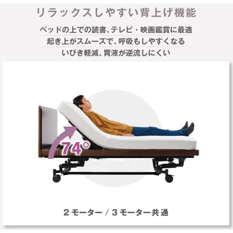 フランスベッド（FRANCEBED） レステックス 101F【シングル】【2