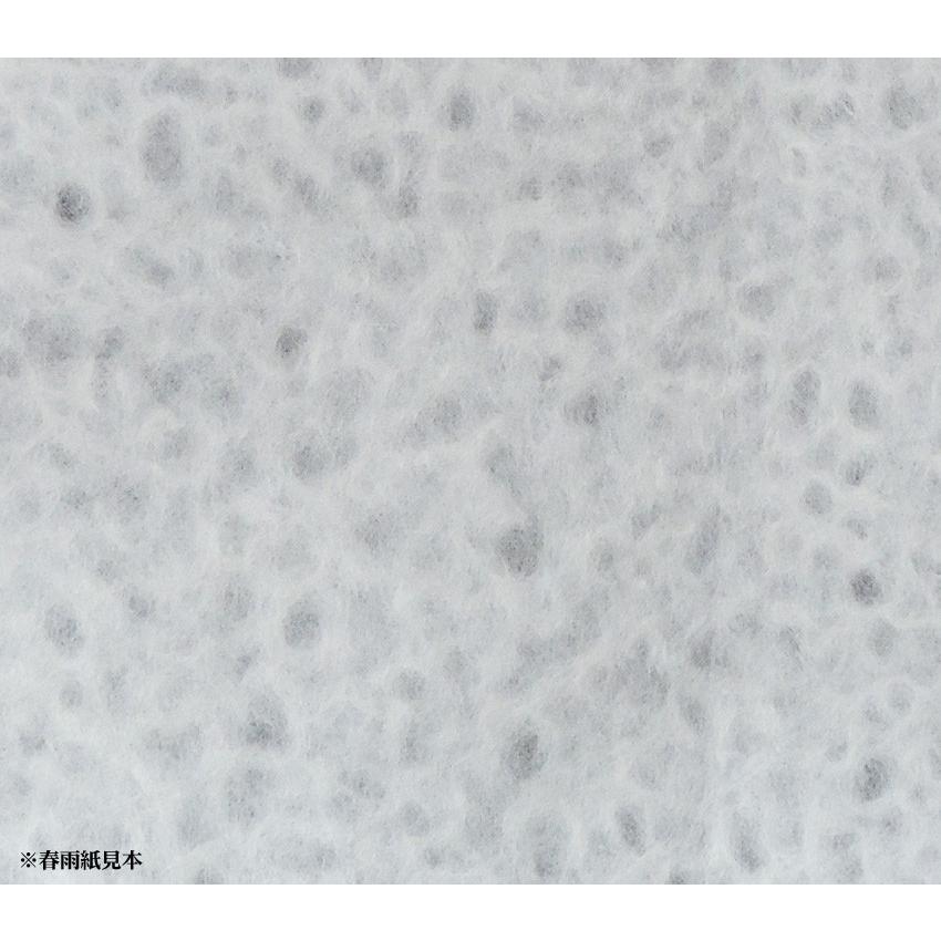 TP-100H春雨紙 直径100cm 和紙ペンダントライト 和風照明 和室 天井 白ホワイト店舗 住宅用 日本製 |  | 06