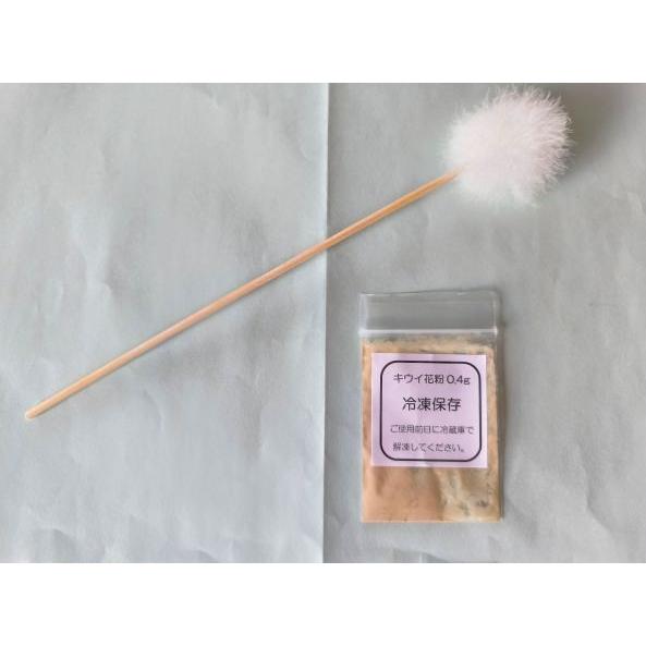 速達発送】人工授粉用キウイ 花粉 1袋 今ならぼん天もつけて発送
