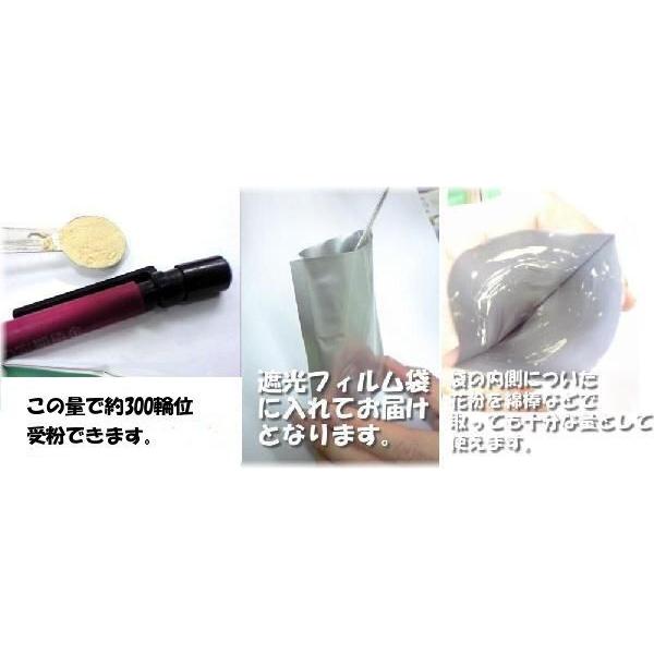 人工授粉用キウイ 花粉 ぼん天 1セット 今季 残りわずかです お早目に E フラワー 通販 Yahoo ショッピング
