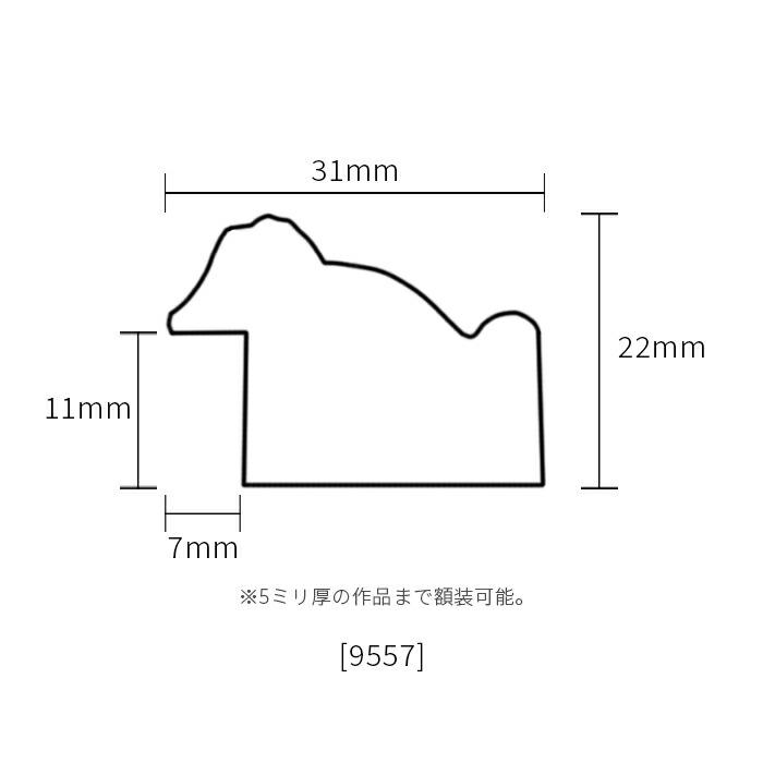横長額縁 9557 300×150ｍｍ シルバー 前面UVカットアクリル仕様｜e-frame｜04