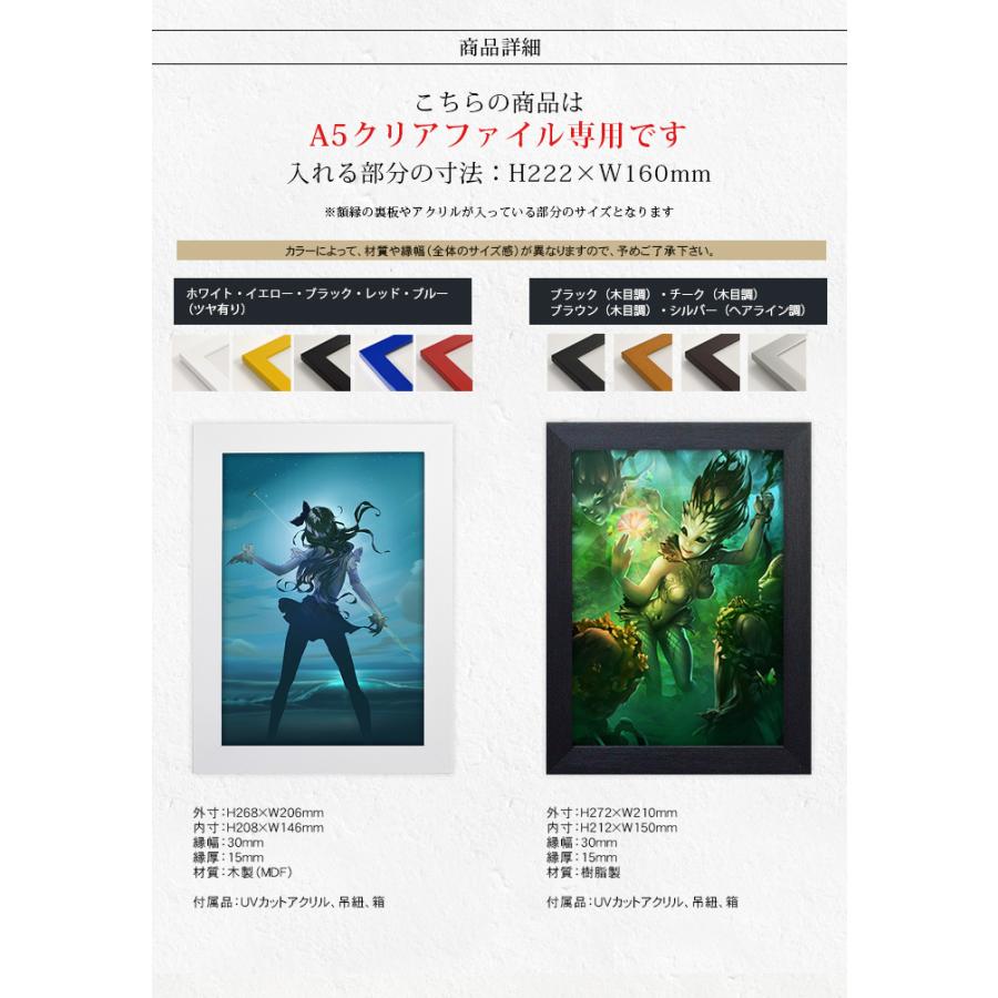 額縁専門店ないとう クリアファイルフレーム（額縁） A5サイズ用