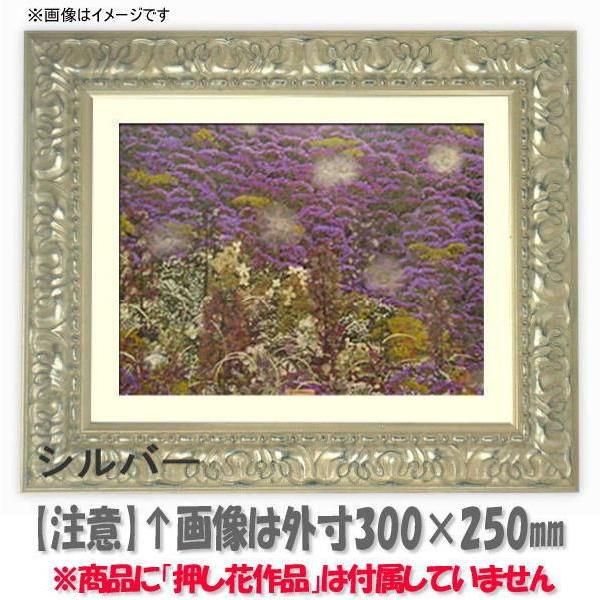 額縁専門店ないとう 押し花額縁 246/シルバー 49額（485×395mm）【osbn