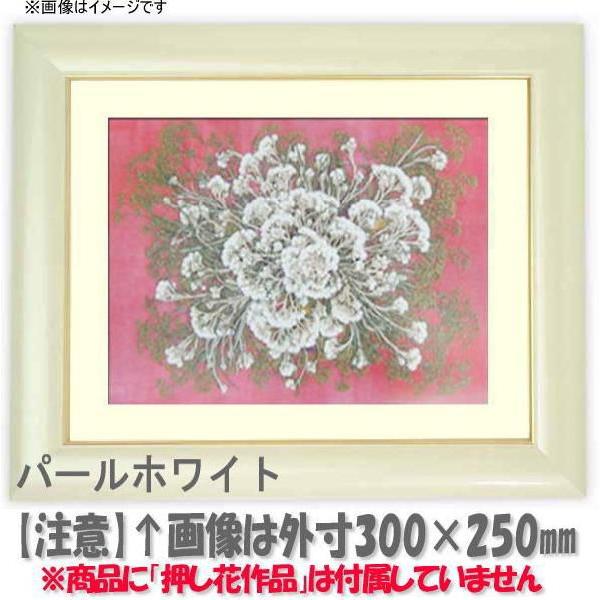 押し花額縁 30009/パールホワイト 49額（485×395mm）【osbn-C】 ※特殊加工品につき注文後のキャンセル・返品交換不可