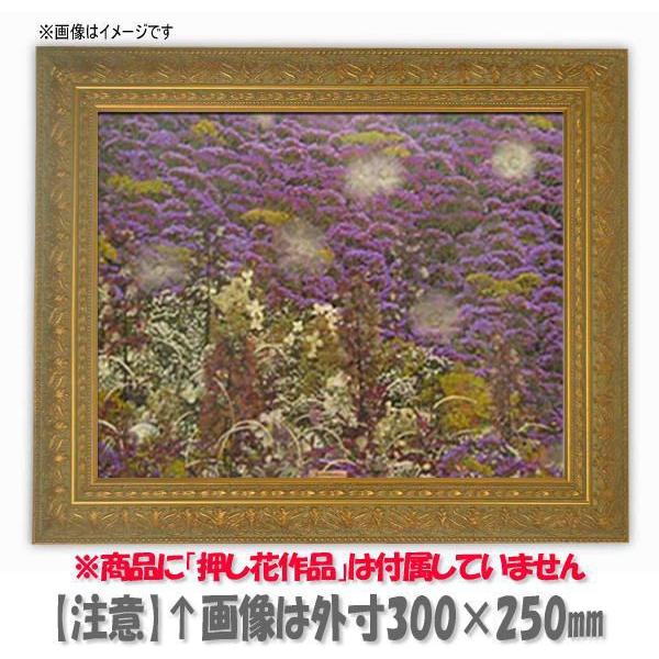 期間限定送料無料 額縁 フレーム インテリア アート 壁に飾る 額縁 フレーム 押し花用額縁 4型 ゴールド 押し花6号サイズ 418 280mm Os A 押し花道具 材料 Smssvg Org