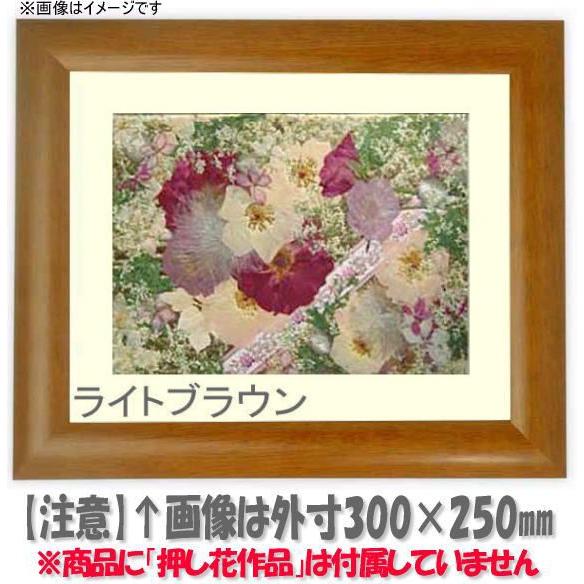 額縁専門店ないとう 押し花額縁 5021/桜 26額（263×213mm）【osbn-C
