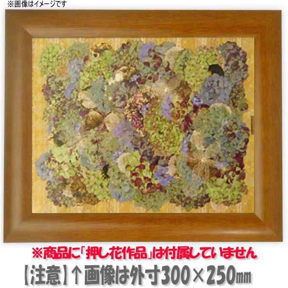絶対一番安い 額縁 フレーム 押し花用額縁 5021 桜 押し花8号サイズ 460 338mm Os A 在庫有 Www Shandilyaz Com