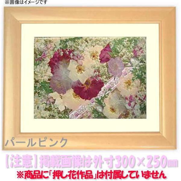 額縁 フレーム 押し花用額縁 5590 パールピンク 60額サイズ 606 455mm Os C Oshibana 5590 Pp 60 額縁専門店ないとう 通販 Yahoo ショッピング
