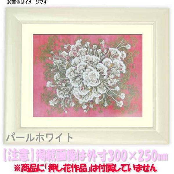 押し花額縁 5590/パールホワイト 36額（360×290mm）【osbn-C】 ※特殊加工品につき注文後のキャンセル・返品交換不可