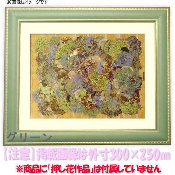 押し花額縁 9614/グリーン 36額（360×290mm）【osbn-C】 ※特殊加工品につき注文後のキャンセル・返品交換不可