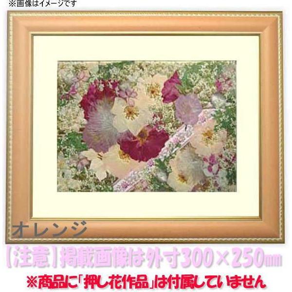 押し花額縁 9614/オレンジ 36額（360×290mm）【osbn-C】 ※特殊加工品につき注文後のキャンセル・返品交換不可