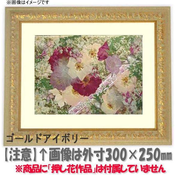 押し花額縁 9569/Gアイボリー 36額（360×290mm）【osbn-C】 ※特殊加工品につき注文後のキャンセル・返品交換不可
