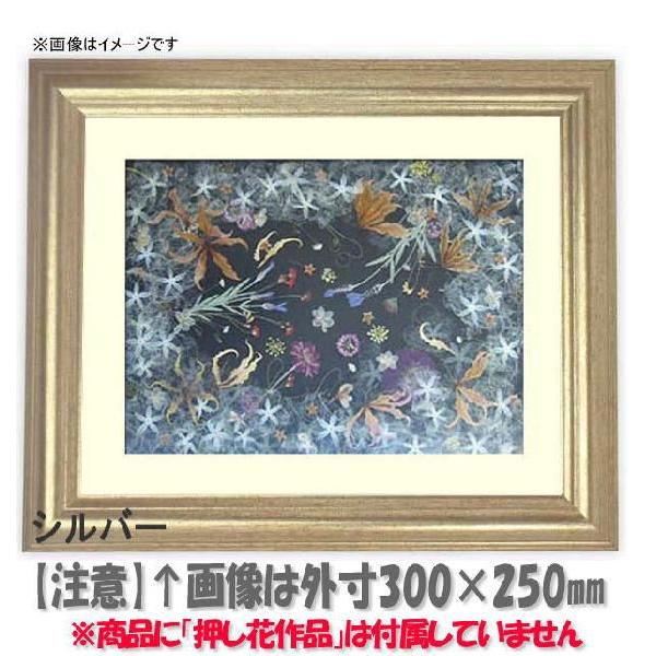 押し花額縁 9580/シルバー 49額（485×395mm）【osbn-C】 ※特殊加工品につき注文後のキャンセル・返品交換不可
