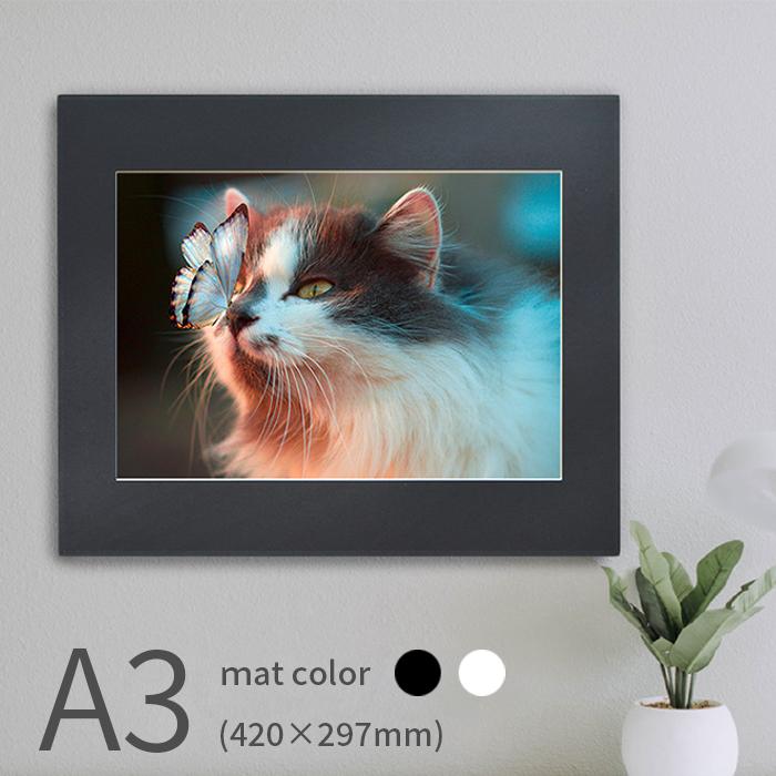 額縁専門店ないとう 写真パネル 写真A3サイズ用（420×297mm） 軽量