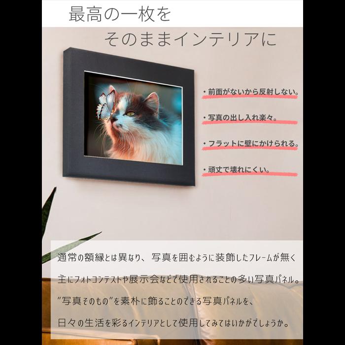 額縁専門店ないとう 写真パネル 写真A3ノビサイズ用（483×329mm） 軽量