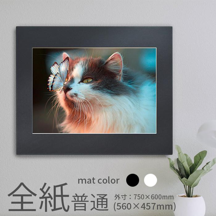 額縁専門店ないとう 写真パネル 写真全紙サイズ用（560×457mm