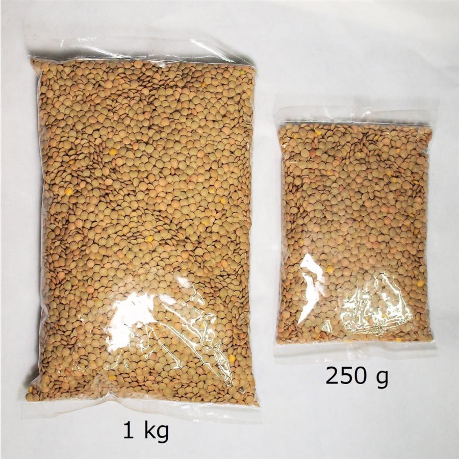 【カリフォルニア産】レンズ豆 250g|e-fujiya|03