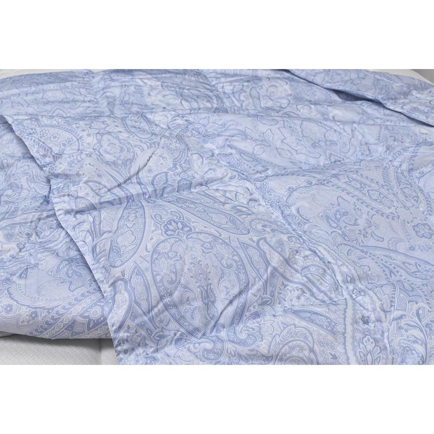 洗える羽毛肌掛けふとん 5532ブルー ダウン90％ シングルSL : e-ふとん