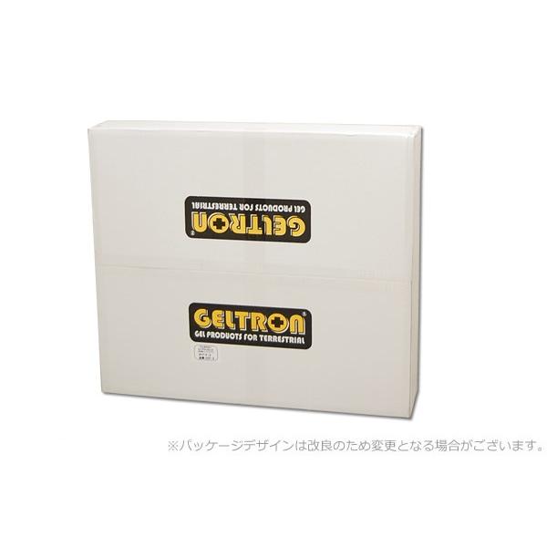 GELTRON ジェルトロン トップマットレス P-3