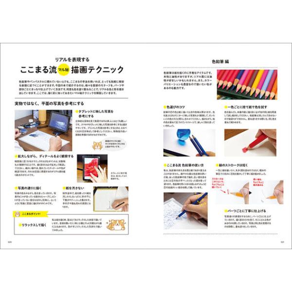 超絶リアルな色鉛筆画のテクニック｜e-gazai-tougei｜03