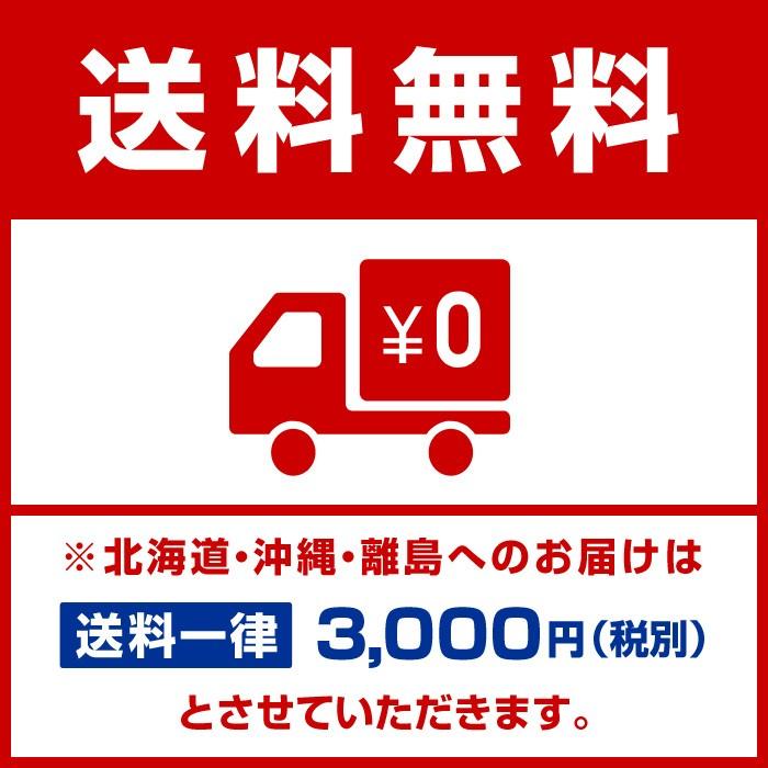 Panasonic（パナソニック） 業務用電子レンジ NE-1802 : 業務用厨房