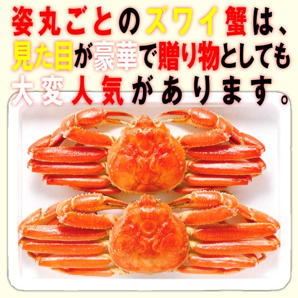通販激安 ギフト ２尾1kg 特大７ｌ ボイル ズワイガニ姿 カニ 蟹 ポーション 贅沢つゆ 蟹味噌 解禁 取り寄せ 格安 訳あり カニ Meorboston Org