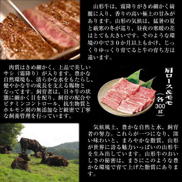 肉 牛肉 牛モモ 牛肩ロース ギフト 600g 焼き肉 山形牛 Yama 100 Momo 讃岐ナカヤ商会 通販 Yahoo ショッピング