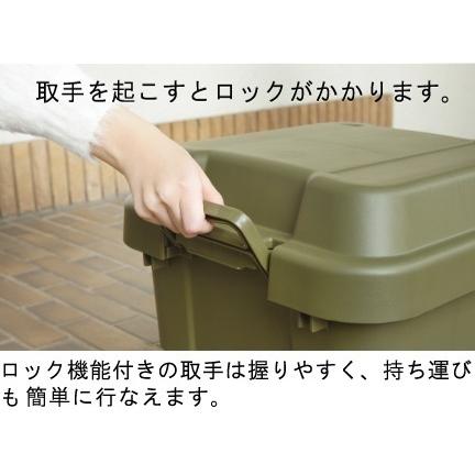 プラケース 押入れ 収納 ケース RISU トランクカーゴ 50L｜e-giftshop3｜15