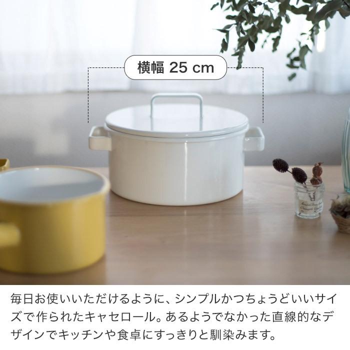 富士ホーロー 365methods キャセロール 20cm 直火 IH対応 調理器具