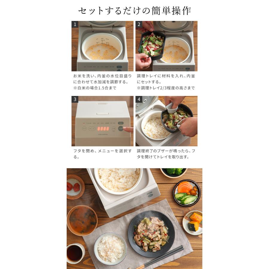 recolte（レコルト） クッキングライスクッカー RCR-2 炊飯器 3合炊き