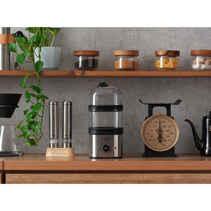 RUSSELL HOBBS（ラッセルホブス） クイックミニスチーマー 3000JP