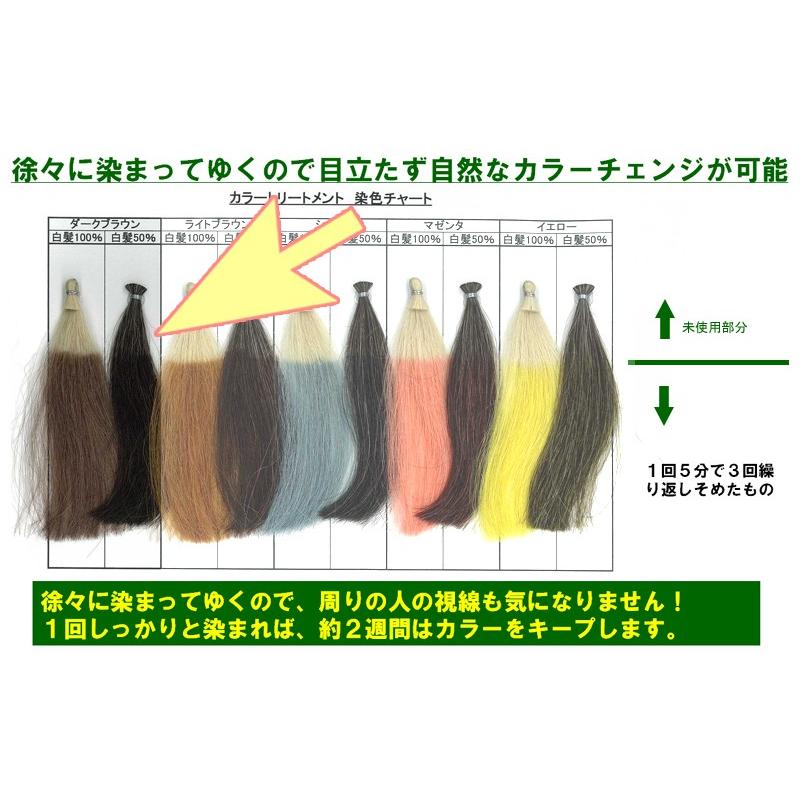 ヘアケア 白髪染め エピック ヘアカラートリートメント 白髪 アッシュ 日高昆布 Saplimist 入浴剤ギフト雑貨のeぷらすぐっず 通販 Yahoo ショッピング