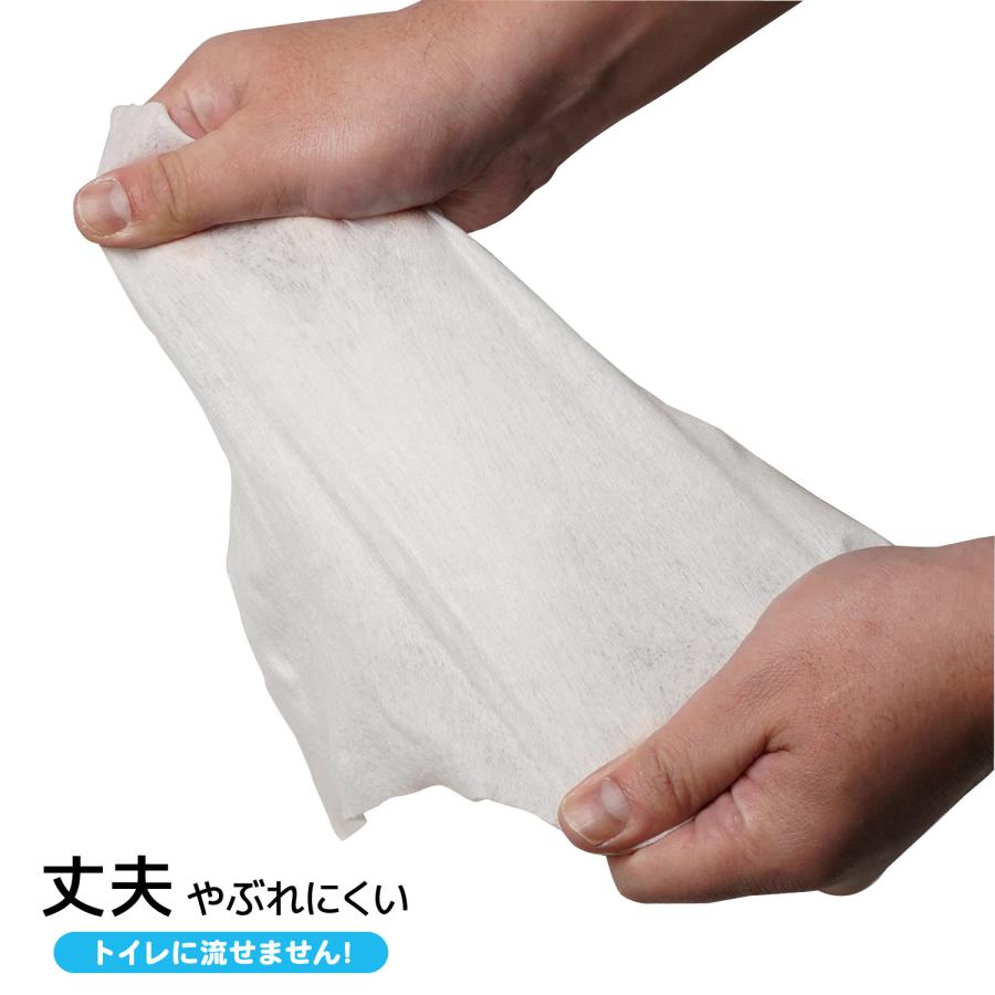 1800枚入 大人用 おしりふき 90枚入×20 大判サイズ 200×300mm ケース