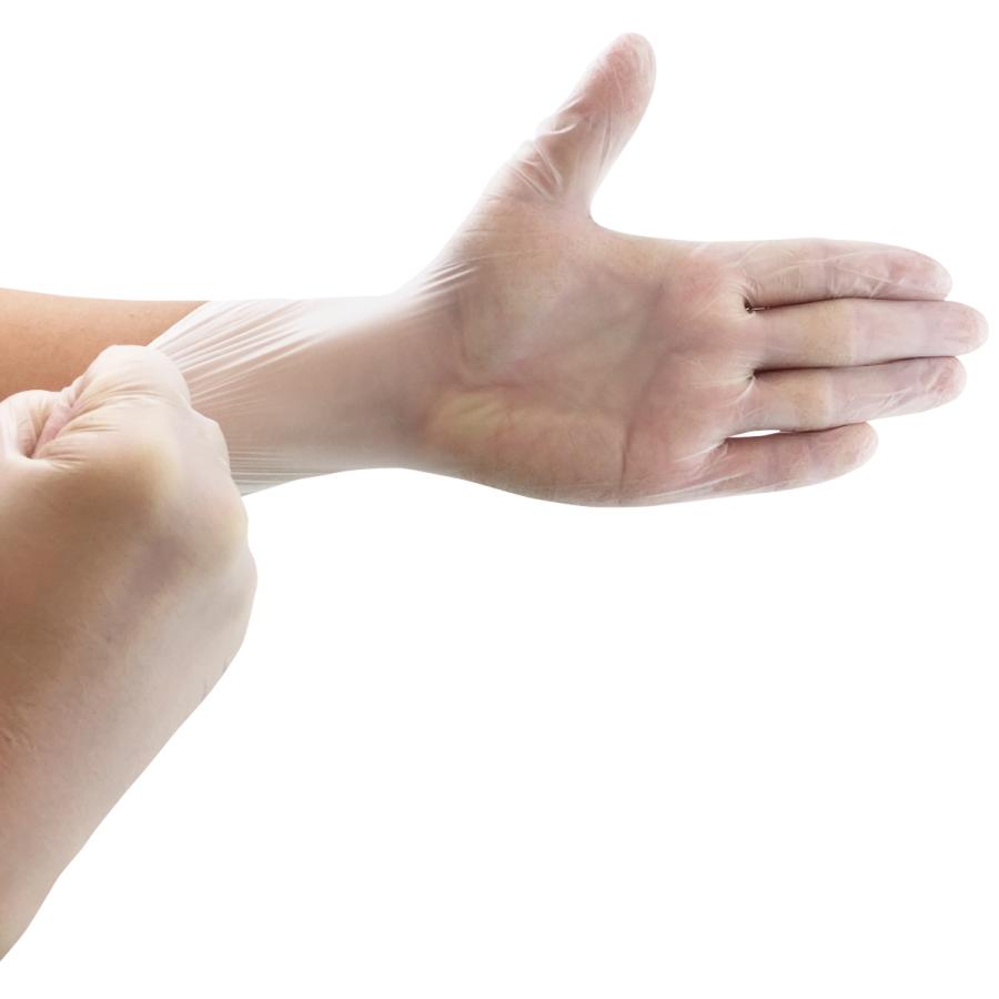 ACE プラスチック手袋 プラスチックグローブ パウダーフリー 100枚入り