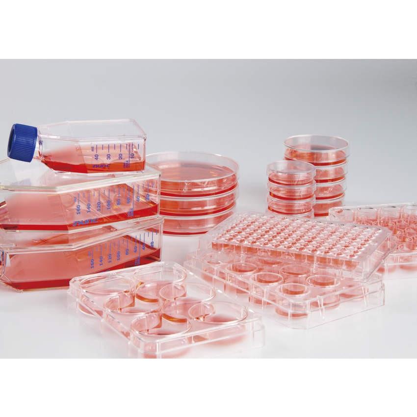 PP様 Thermo Fisher Scient Nunclon Sphera ディッシュ 174944 20入