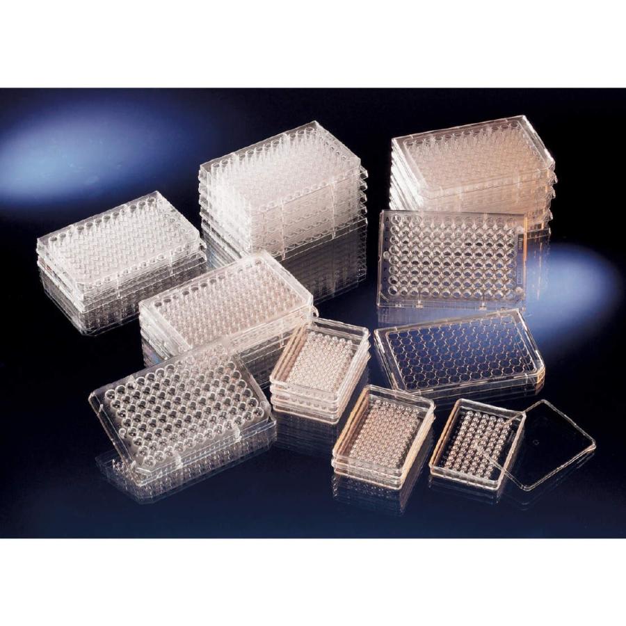 12 6123 ハカル Com 店 ハカル Com 160入 ヌンク 160入 No Thermoscientific 業務 産業用 96ウェルプレート