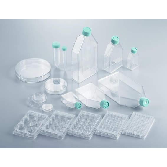 コスメ3点 Thermo Fisher Scient BioLite 6 well Multidish 130184 50入 : ハカル