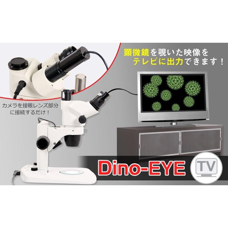 DINOLITE DINOEYETV Dino-Eye TV 顕微鏡用カメラ｜e-hakaru｜02