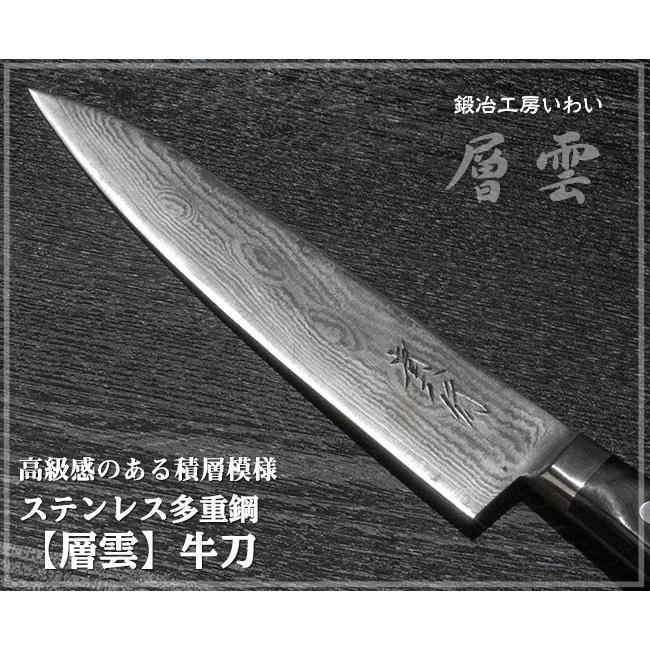 錆びにくい 高級ステンレス 包丁 越前打ち刃物 ステンレス多層鋼【層雲