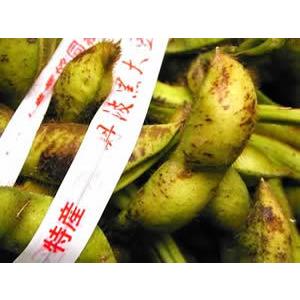 赤井さんの丹波黒豆枝豆「若さや」 約2kg｜e-hanafusa｜09